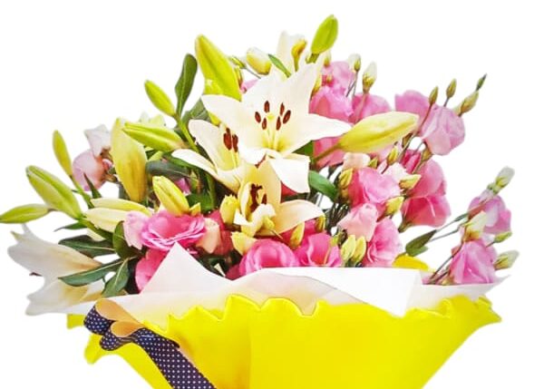 Flores